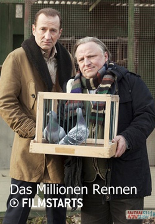 Ddas Millionen Rennen