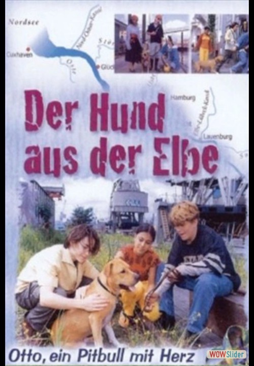 Der Hund aus der Elbe